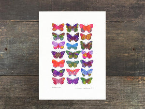 Butterflies Mini Prints