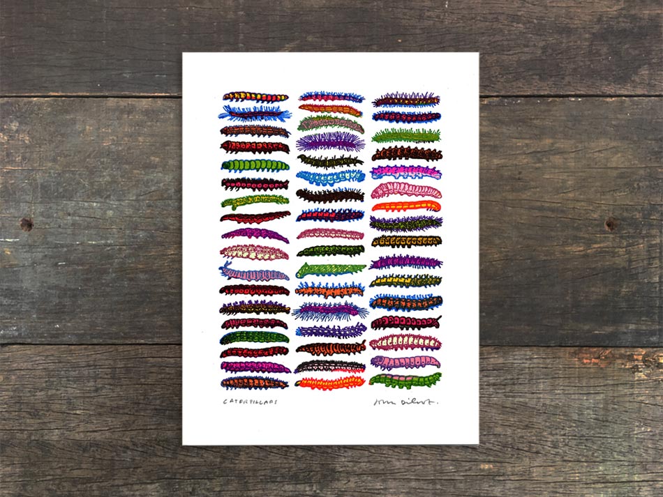 Caterpillars Mini Prints