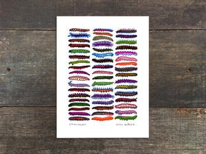 Caterpillars Mini Prints