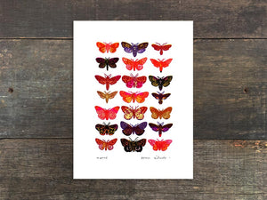 Moths Mini Prints