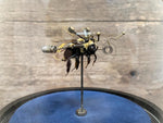 Load image into Gallery viewer, Bombus pascuorum
