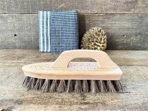 Scrubbing Brush