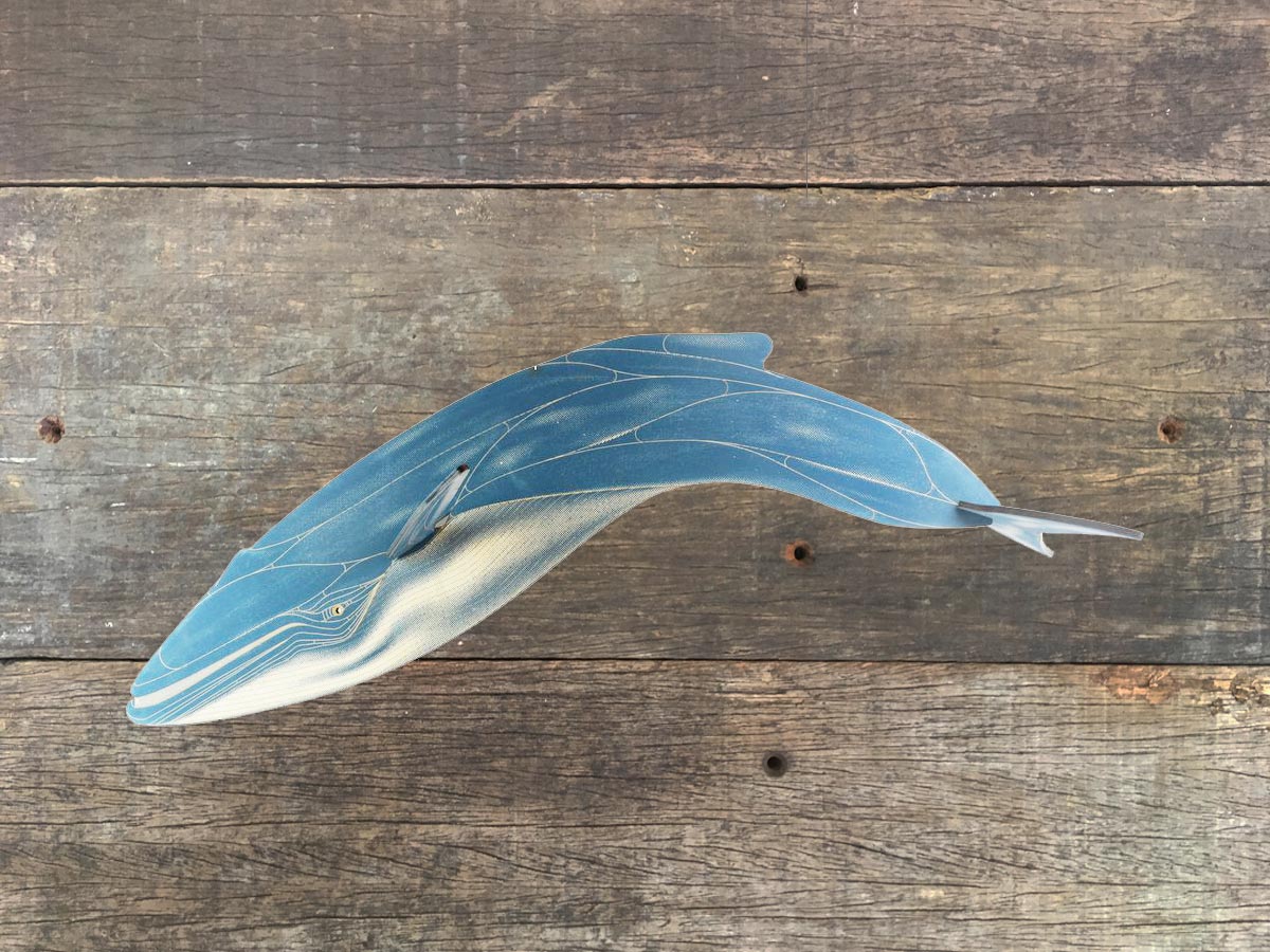 Kit: Blue Whale