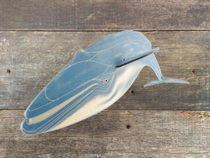 Kit: Blue Whale