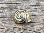 Load image into Gallery viewer, Brass Snail Shell
