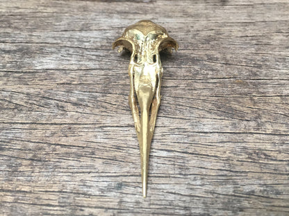 Bird Skull