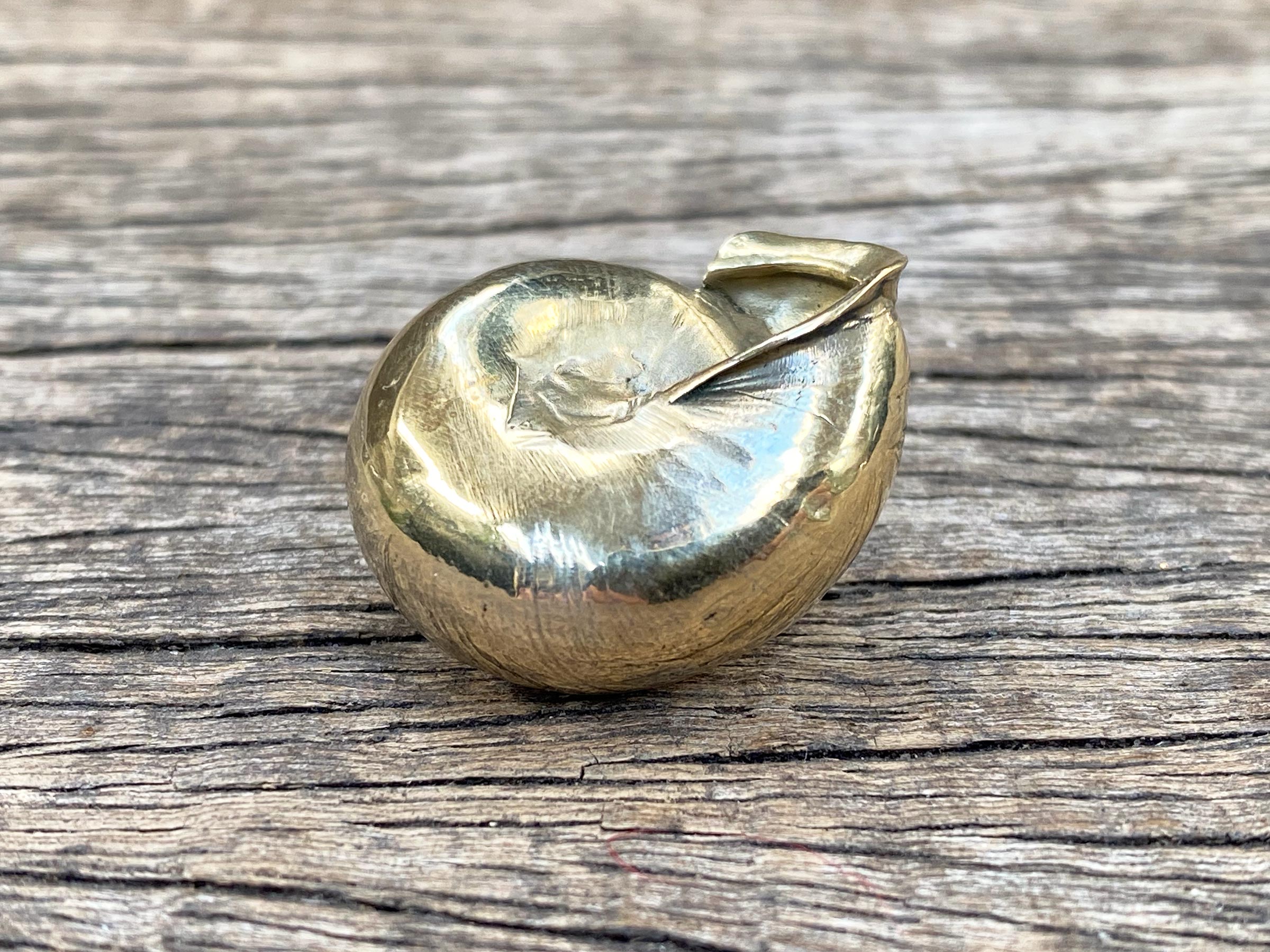 Brass Snail Shell