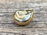 Load image into Gallery viewer, Brass Snail Shell
