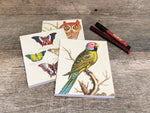 Load image into Gallery viewer, Set of 3 Notebooks
