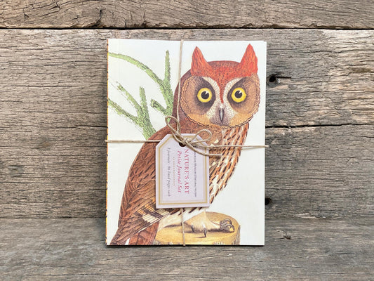 Set of 3 Notebooks