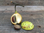 Load image into Gallery viewer, Ceramic Horse Chestnut Small
