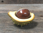 Load image into Gallery viewer, Ceramic Horse Chestnut
