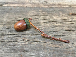 Acorn on Twig