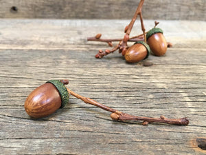 Acorn on Twig