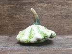 Load image into Gallery viewer, Ceramic Custard Squash
