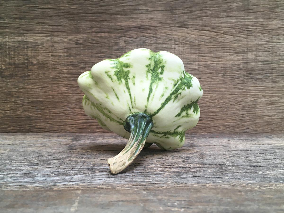 Ceramic Custard Squash