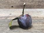 Load image into Gallery viewer, Ceramic Plum
