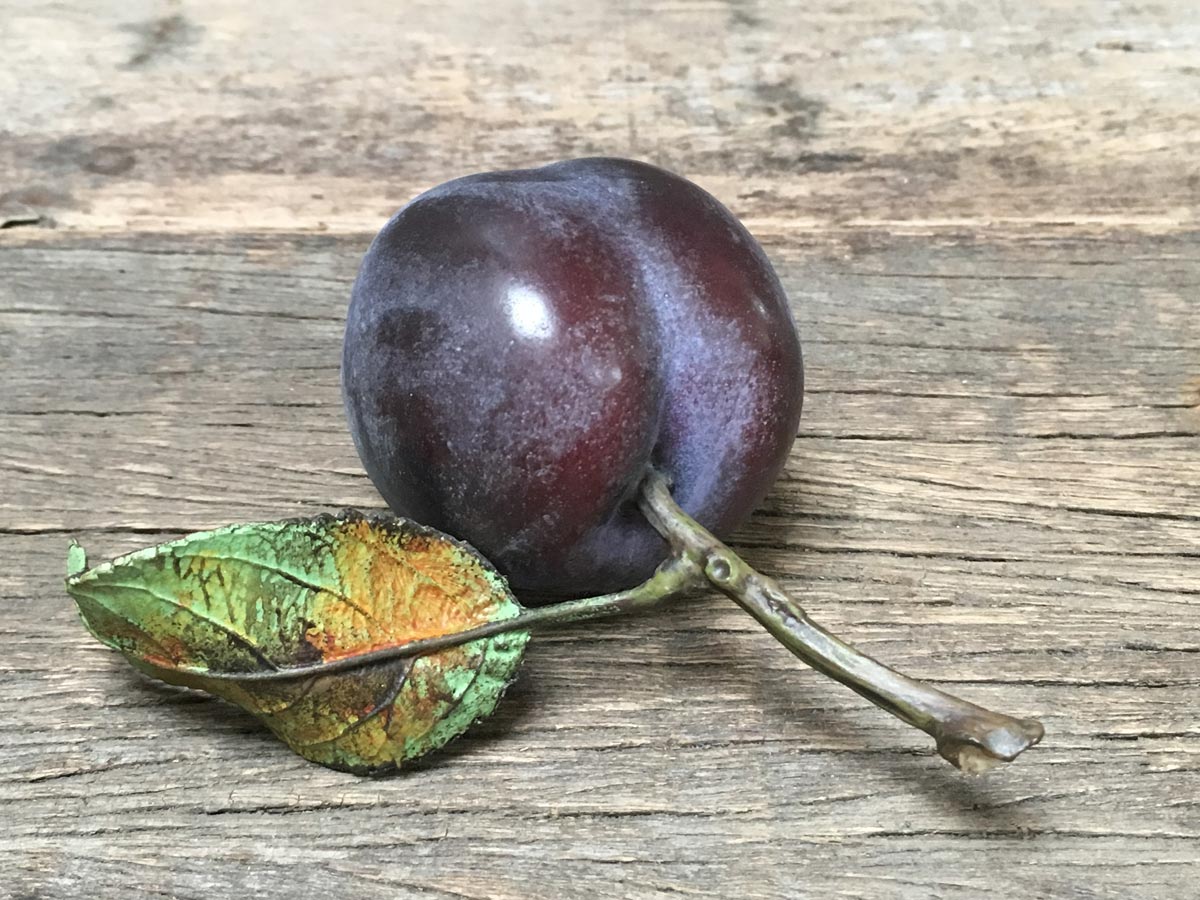 Ceramic Plum