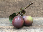 Load image into Gallery viewer, Ceramic Marjorie Plum
