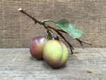 Load image into Gallery viewer, Ceramic Marjorie Plum
