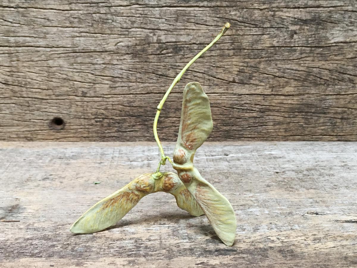 Ceramic Sycamore Seed