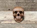 Load image into Gallery viewer, Vegan Mini Skull
