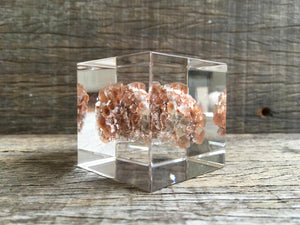 Specimen Cube: Aragonite