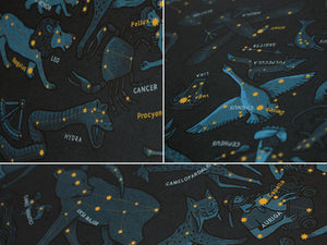 Star Chart