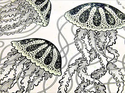 Jellyfish Print