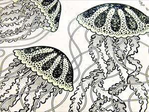 Jellyfish Print
