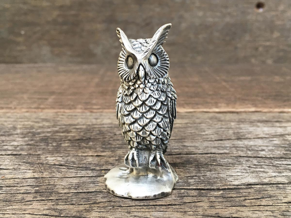 Horned Hoot Owl
