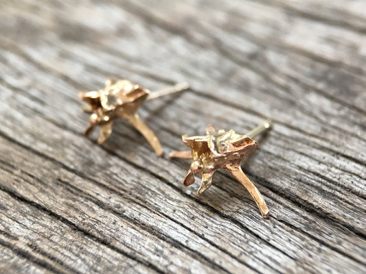 Vertebrae Stud Earrings