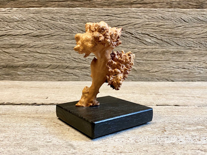 Burl Sculpture