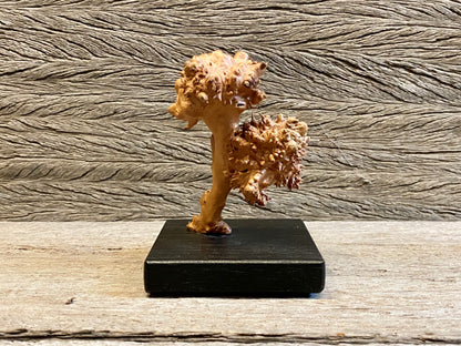 Burl Sculpture