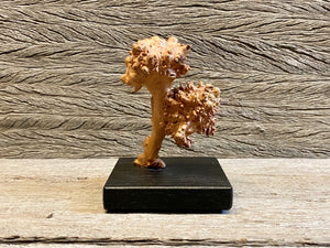 Burl Sculpture