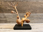 Load image into Gallery viewer, Burl Sculpture
