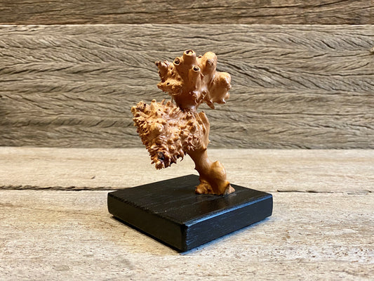 Burl Sculpture