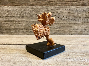 Burl Sculpture