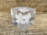 Load image into Gallery viewer, Specimen Cube: Sakura
