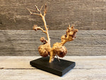 Load image into Gallery viewer, Burl Sculpture
