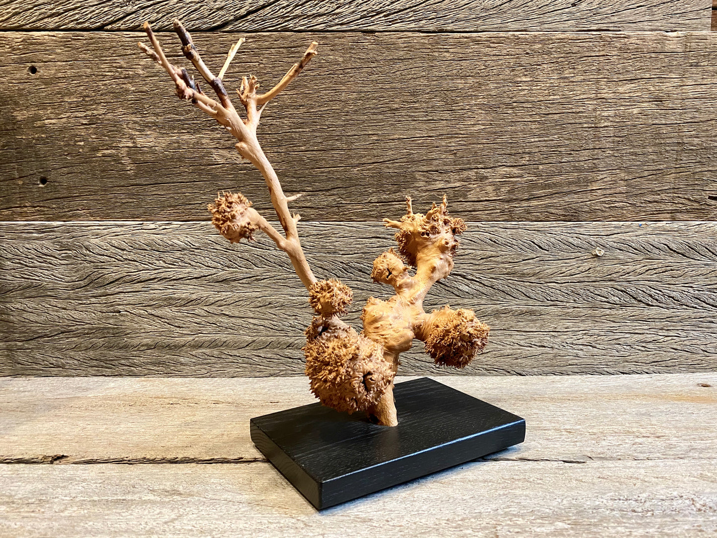 Burl Sculpture