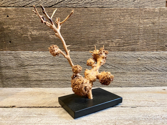 Burl Sculpture