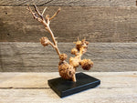 Load image into Gallery viewer, Burl Sculpture
