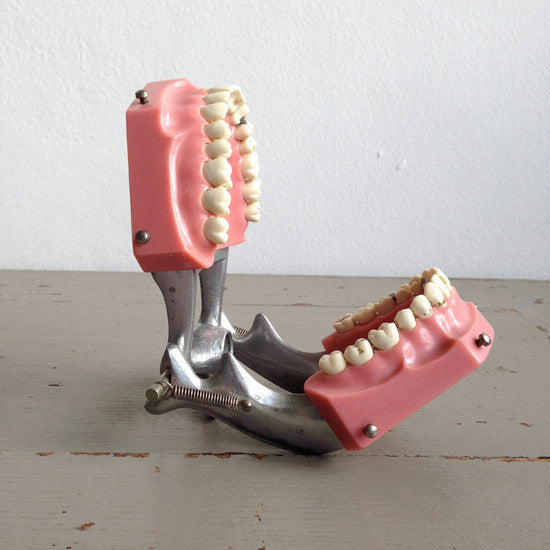 Dental Model