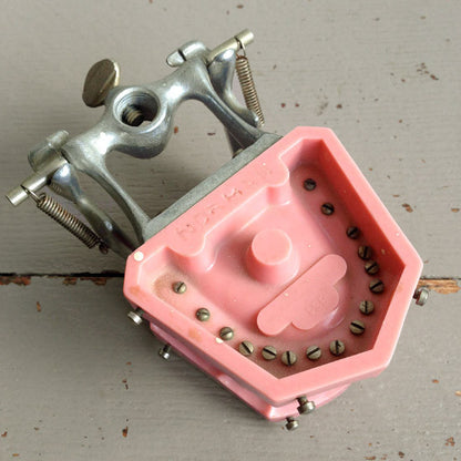 Dental Model